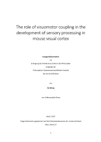 The Role of Visuomotor Coupling in the Development of Sensory Processing in Mouse Visual Cortex