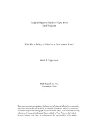What Fiscal Policy Is Effective at Zero Interest Rates?