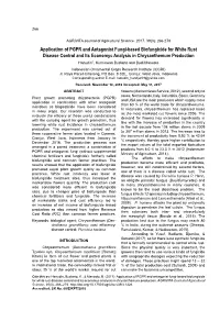 Application of PGPR and Antagonist Fungi-Based Biofungicide for White