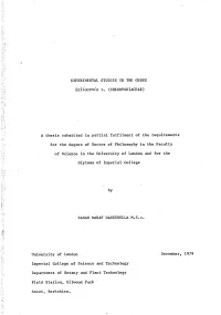 EXPERIMENTAL STUDIES in the GENUS Salicornia L