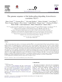 The Genome Sequence of the Hydrocarbon-Degrading Acinetobacter Venetianus VE-C3