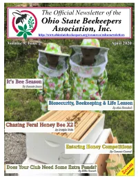 2Nd Quarter 2020 OSBA Newsletter