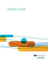 Injection Guide Overview and Goals of This Guide ����������������������������������� 1