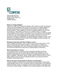 Patients Who Suffer from Diseases and Disorders of the Endocrine System Are Generally Referred to Endocrinologists by Their Primary Care Physicians