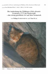 Im Westerwald 941