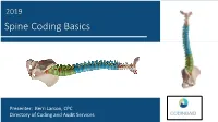 2019 Spine Coding Basics