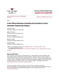A New Rhesus Macaque Assembly and Annotation for Next-Generation