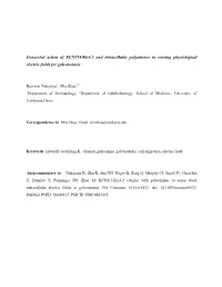 Concerted Action of KCNJ15/Kir4.2 and Intracellular Polyamines in Sensing Physiological Electric Fields for Galvanotaxis