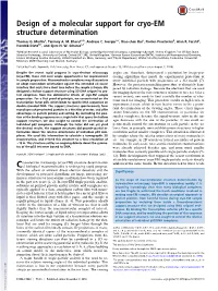Design of a Molecular Support for Cryo-EM Structure Determination