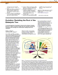 Evolution: Revisiting the Root of the Eukaryote Tree