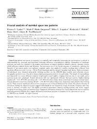 Fractal Analysis of Narwhal Space Use Patterns