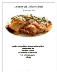 Situation and Outlook Report for Rabbit Meat