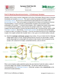 Part III: Modeling Neurotransmission – a Cholinergic Synapse