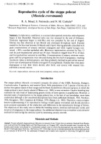 Reproductive Cycle of the Steppe Polecat (Mustela Eversmanni) R