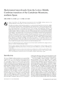 Skeletonized Microfossils from the Lower–Middle Cambrian Transition of the Cantabrian Mountains, Northern Spain