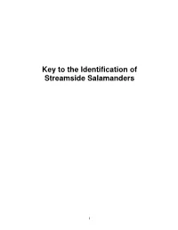 Streamside Salamander Identification Guide