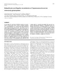 Subpellicular and Flagellar Microtubules of Trypanosoma