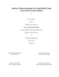 Surface Characterization of Cricket Balls Using Area-Scale Fractal Analysis