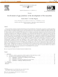 Involvement of Gap Junctions in the Development of the Neocortex