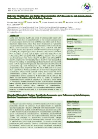 Molecular Identification and Partial Characterization of Pediococcus Sp