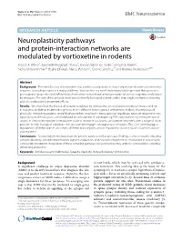 Neuroplasticity Pathways and Protein-Interaction Networks Are