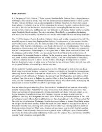 Plot Overview