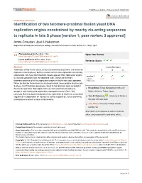 Identification of Two Telomere-Proximal Fission Yeast DNA Replication