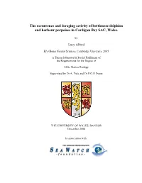 The Occurrence and Foraging Activity of Bottlenose Dolphins and Harbour Porpoises in Cardigan Bay SAC, Wales