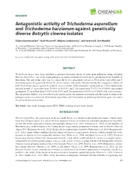 Antagonistic Activity of Trichoderma Asperellum and Trichoderma Harzianum Against Genetically Diverse Botrytis Cinerea Isolates