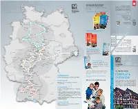 Complete Overview