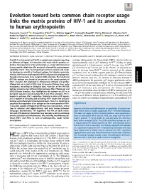Evolution Toward Beta Common Chain Receptor Usage Links the Matrix Proteins of HIV-1 and Its Ancestors to Human Erythropoietin