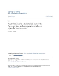 Acalypha Deamii : Distribution East of the Appalachians and Comparative Studies of Reproductive Anatomy Patricia A