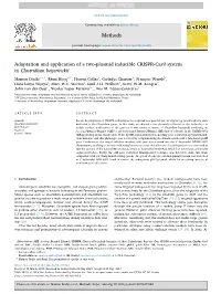 Adaptation and Application of a Two-Plasmid Inducible CRISPR-Cas9 System in Clostridium Beijerinckii