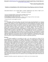 Radiation and Hybridization of the Little Devil Poison Frog (Oophaga Sylvatica) in Ecuador