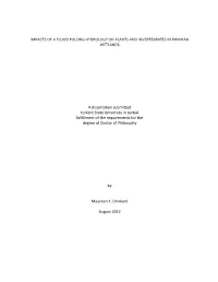 Impacts of a Flood Pulsing Hydrology on Plants and Invertebrates in Riparian Wetlands