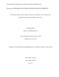 The Migration Stories and Pre-Returning Experiences… 1