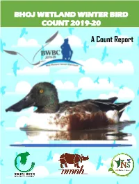 A Count Report