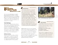 Equestrian Design Guidebook for Trails, Trailheads, and Campgrounds