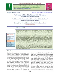 Performance of Murrah Buffalo and Their Calves Under Weaning and Suckling System