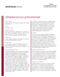 Streptococcus Pneumoniae Technical Sheet