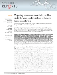 Mapping Plasmonic Near-Field Profiles and Interferences by Surface-Enhanced Raman Scattering