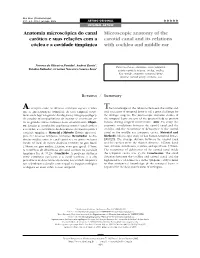 Microscopic Anatomy of the Carotid Canal and Its Relations with Cochlea