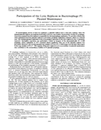 Participation of the Lytic Replicon in Bacteriophage P1 Plasmid Maintenance MICHAEL B