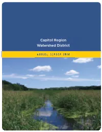 2010 Annual Report Highlights the Illicit Discharge Detection and Elimination Stormwater Measure (Minimum Control Measure #3)