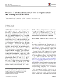 Detection of Infectious Brome Mosaic Virus in Irrigation Ditches and Draining Strands in Poland