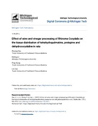 Effect of Wine and Vinegar Processing of Rhizoma Corydalis on the Tissue Distribution of Tetrahydropalmatine, Protopine and Dehydrocorydaline in Rats