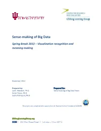 Sense-Making of Big Data