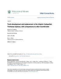 Tooth Development and Replacement in the Atlantic Cutlassfish, Trichiurus Lepturus, with Comparisons to Other Scombroidei