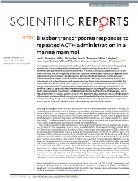 Blubber Transcriptome Responses to Repeated ACTH Administration in a Marine Mammal Received: 16 October 2018 Jared S