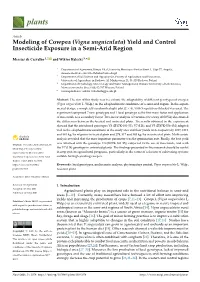Modeling of Cowpea (Vigna Unguiculata) Yield and Control Insecticide Exposure in a Semi-Arid Region